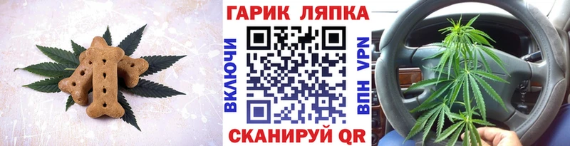 Canna-Cookies конопля  Новодвинск 