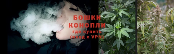 прущие крисы Няндома