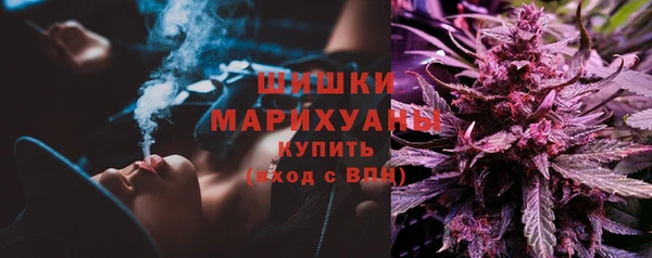 прущие крисы Няндома