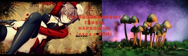 прущие крисы Няндома