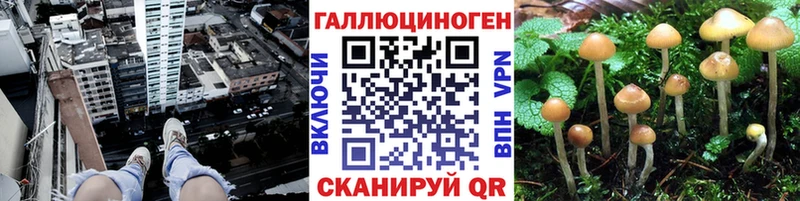 Галлюциногенные грибы мухоморы  Новодвинск 