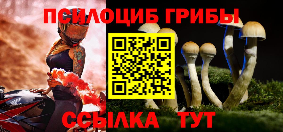 сколько стоит  Псилоцибиновые грибы прущие грибы  Вход с VPN  Новодвинск 