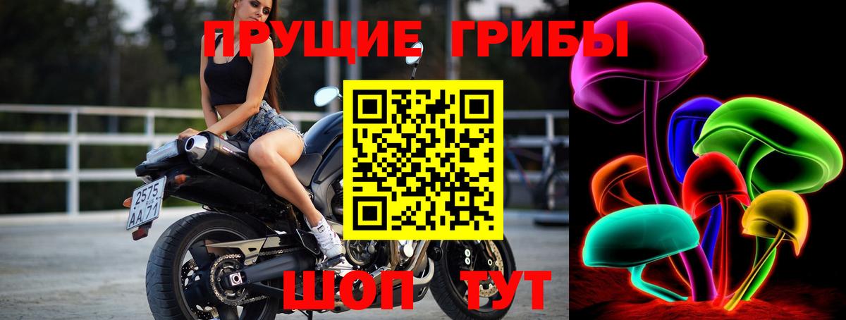 Псилоцибиновые грибы GOLDEN TEACHER Новодвинск