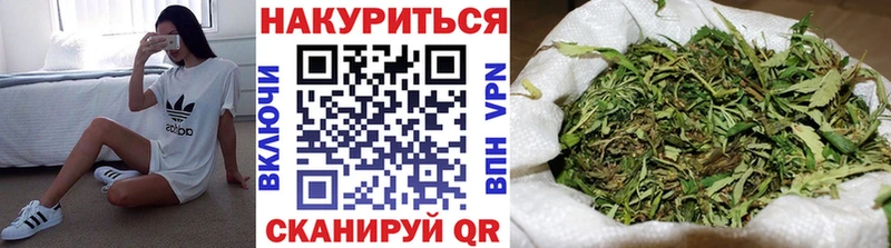 Конопля гибрид Новодвинск